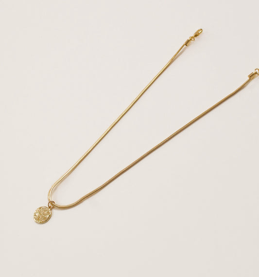 Chunky Gold Snake Chain Necklace | Hammered Medallion